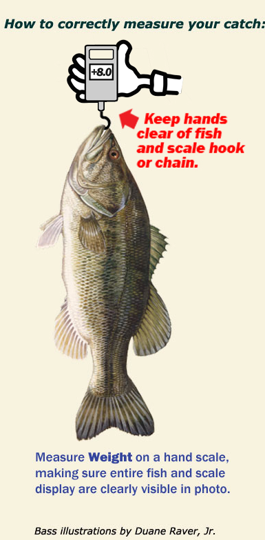 How to Weigh a Bass