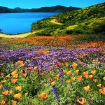 Diamond Valley Lake