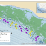 New Palos Verdes Reef