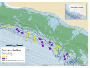New Palos Verdes Reef
